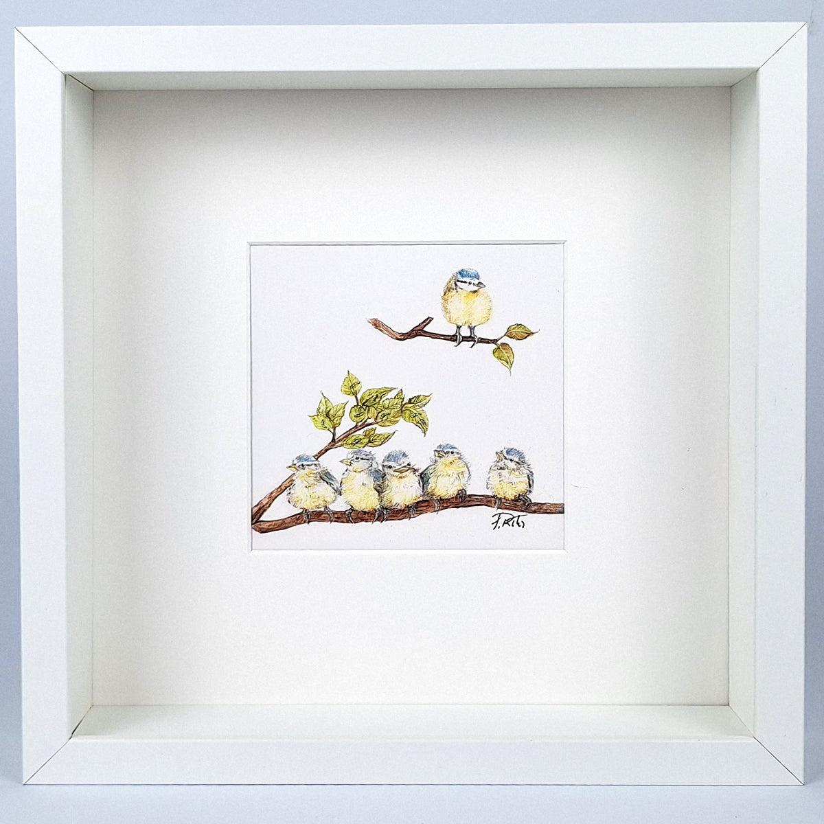 Kunstdruck "Blaumeisen", gerahmt