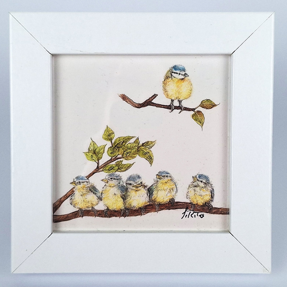 Kunstdruck "Mini-Blaumeisen"