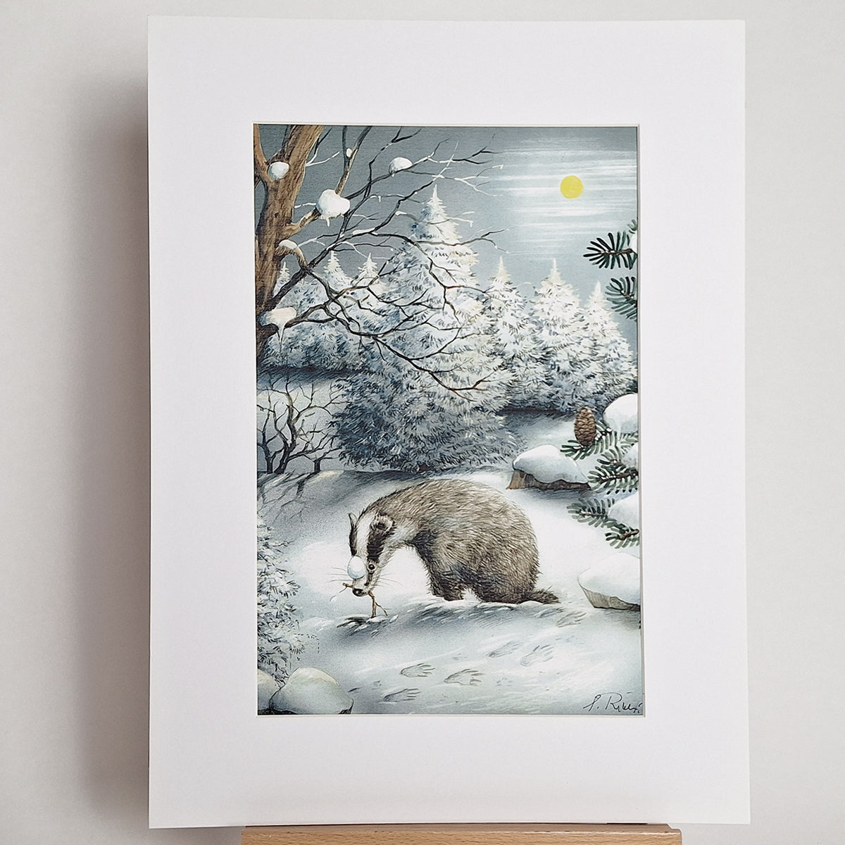 Kunstdruck "Dachs im Winter"