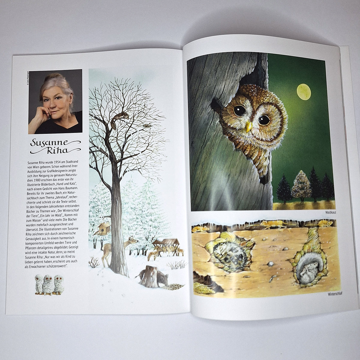 Katalog „Kleiner Salon für Illustration“