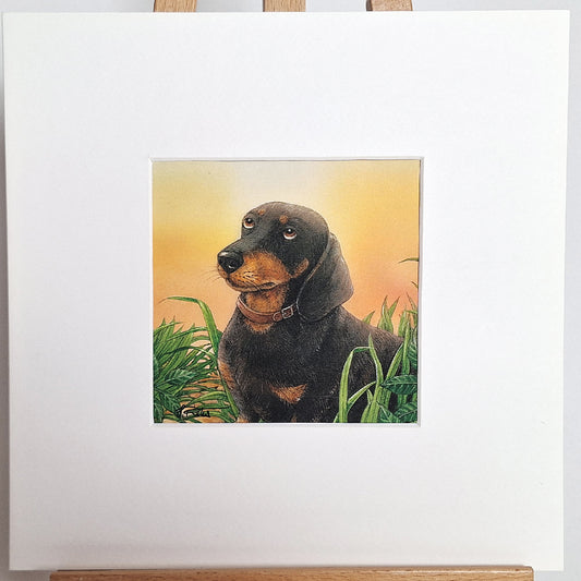 Kunstdruck "Dackel"