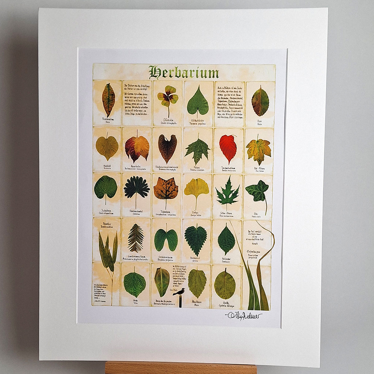 Kunstdruck "Herbarium", groß