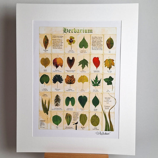 Kunstdruck "Herbarium", groß