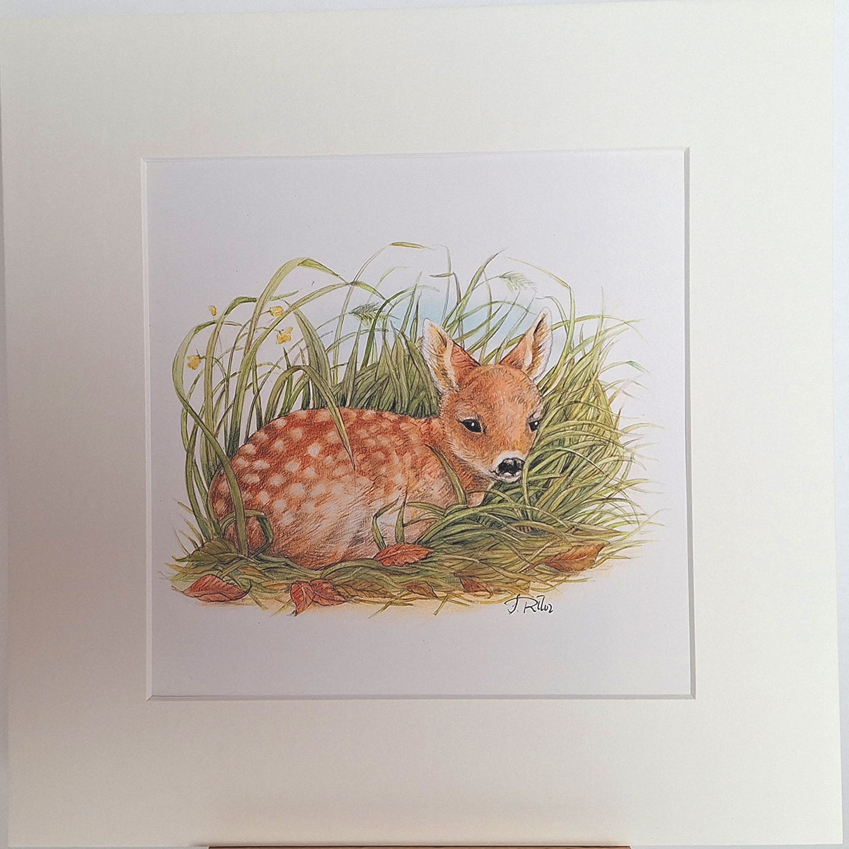 Kunstdruck "Rehkitz"