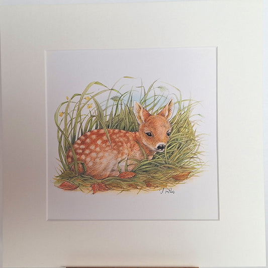 Kunstdruck "Rehkitz"