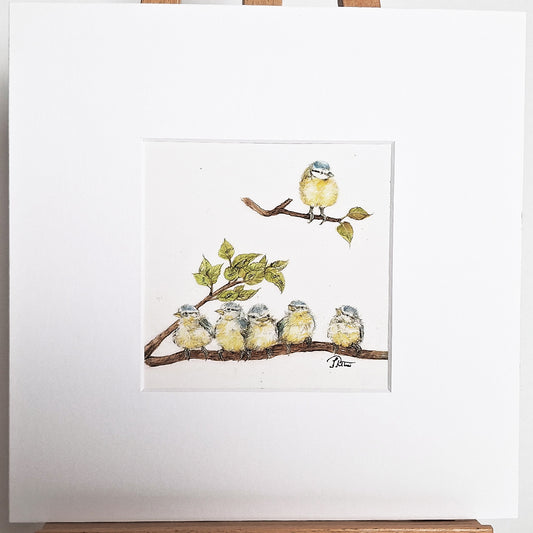 Kunstdruck "Blaumeisen"