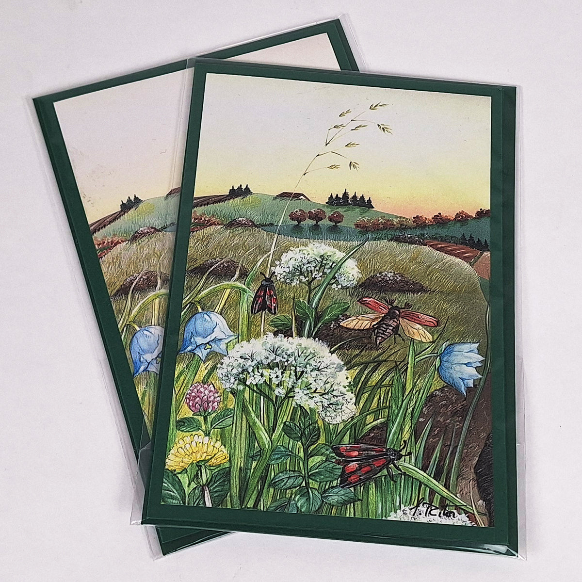 Zweierpack Billet "Sommer"